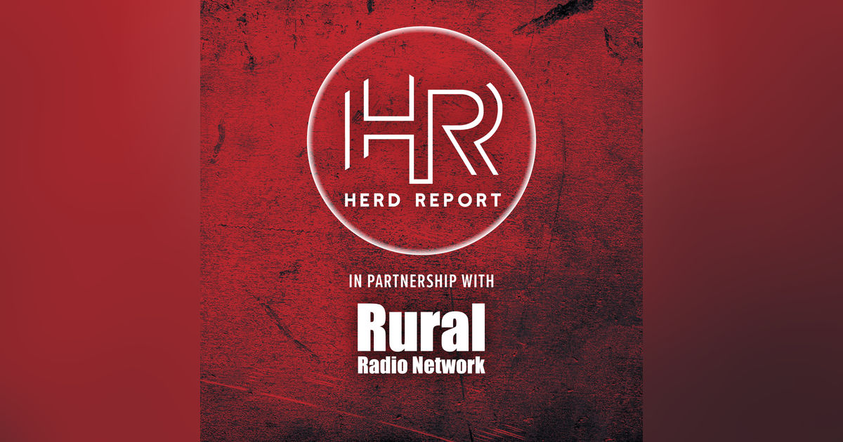 Kelly Albrecht: Angus Board Vision, Proven Genetics & the Future of Albrecht Ranch Kelly Albrecht: Angus Board Vision, Proven Genetics & the Future of Albrecht Ranch