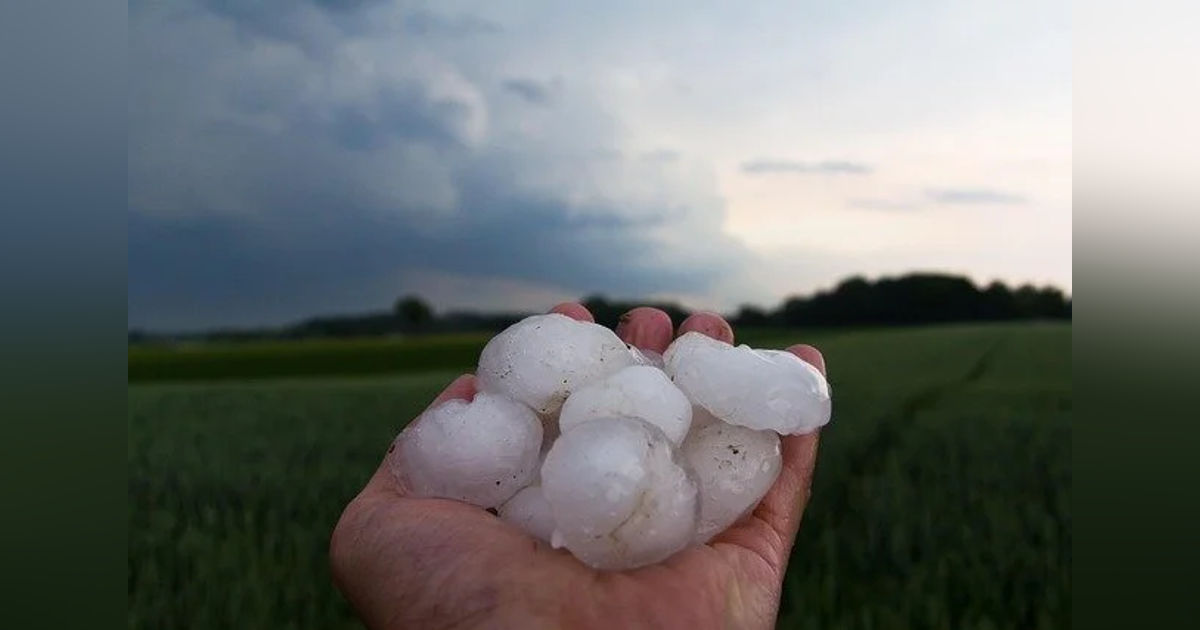 Ep 5: Hailstones and Mustard Seeds