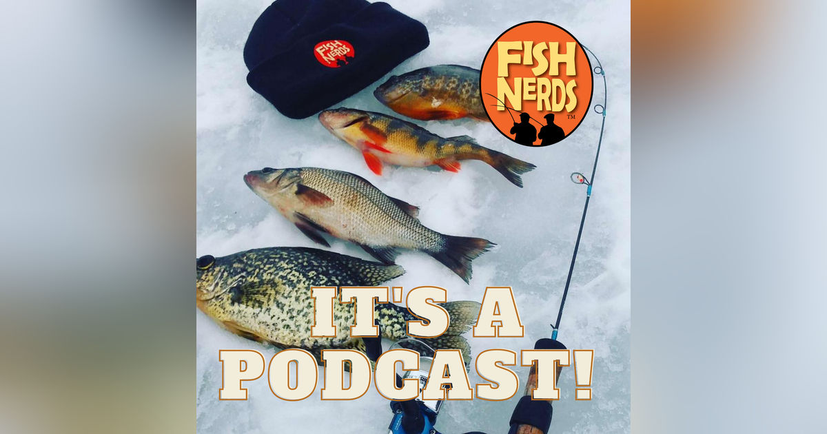 #FNThrowback 11 Dead Fallfish, Swamp Fishing and Snake Junk #FNThrowback 11 Dead Fallfish, Swamp Fishing and Snake Junk