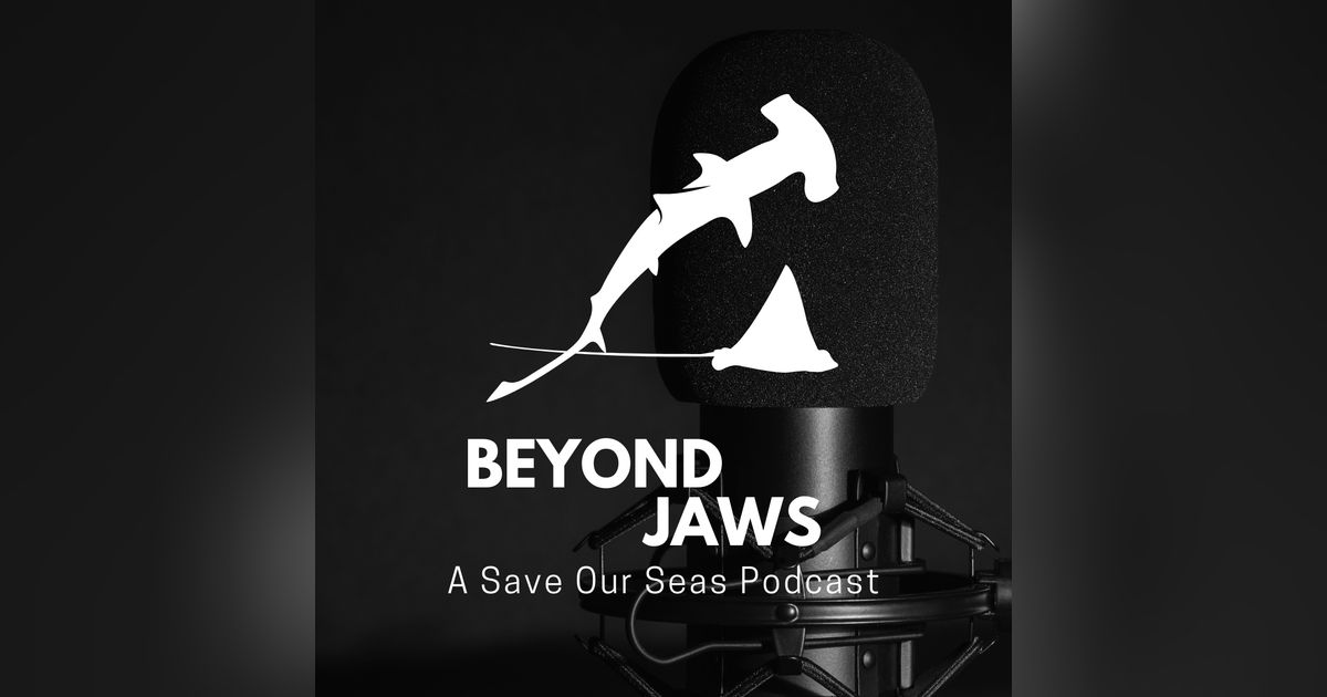 20: Describing sharks, writing grants, and identifying species through egg case morphology with Dr. Will White