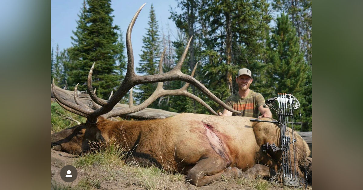 161. Dan Pickar on Muley's and Grizzly Issues 161. Dan Pickar on Muley's and Grizzly Issues