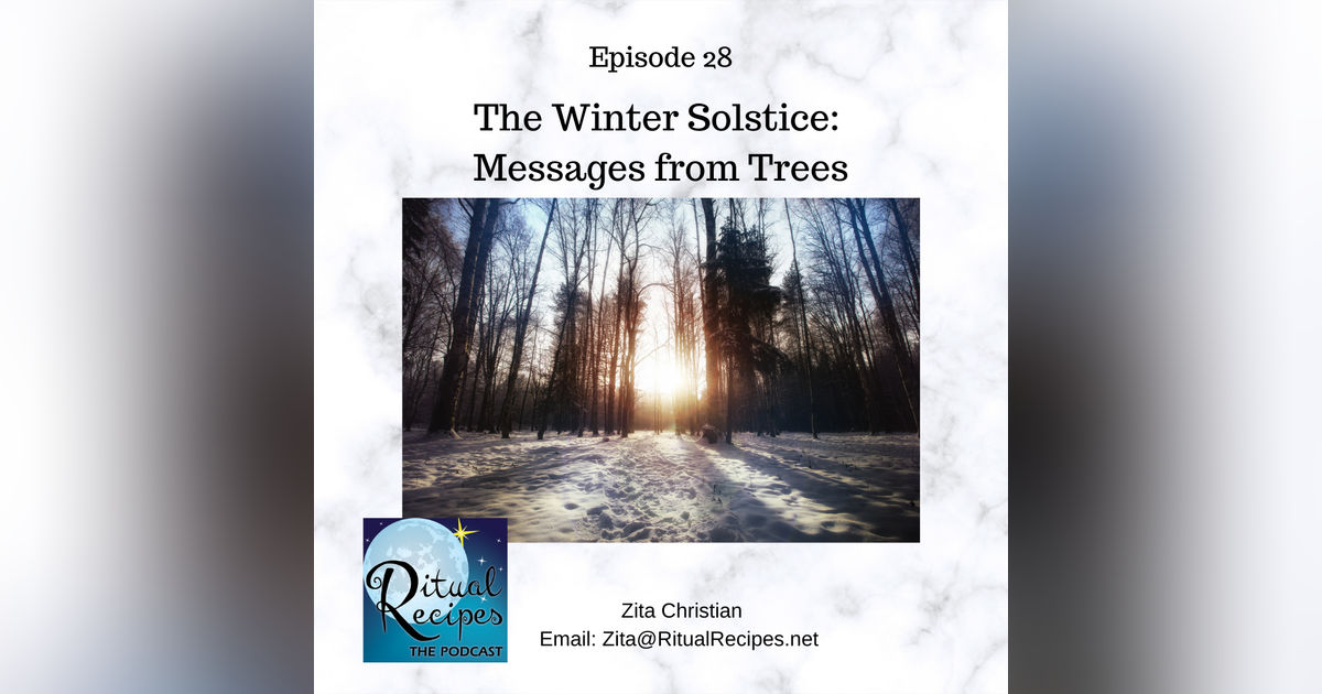 Winter Solstice Messages from the Trees