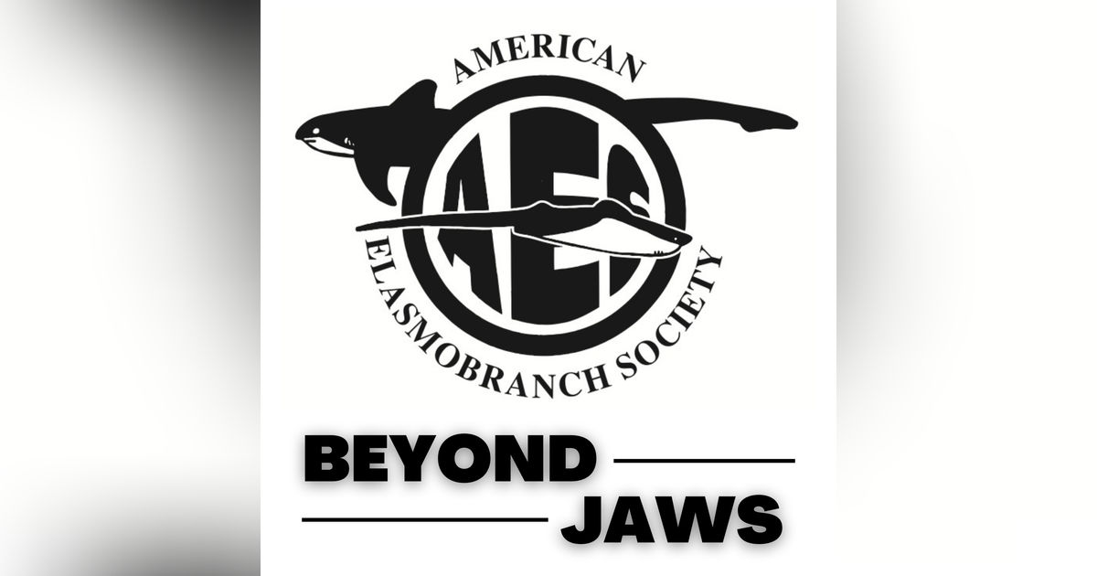 Beyond Jaws and into Shark Science Beyond Jaws and into Shark Science