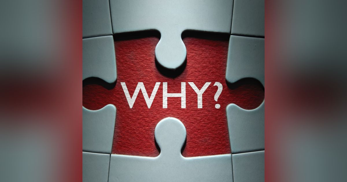 Why You Do What You Do? Why You Do What You Do?