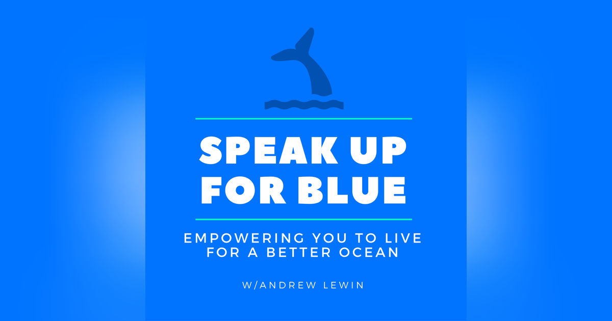 Use these 3 steps to speak up for the ocean if you are not a scientist Use these 3 steps to speak up for the ocean if you are not a scientist