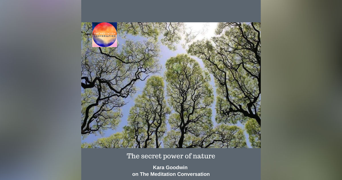 218. Secret Power of Nature - Kara's Kushion