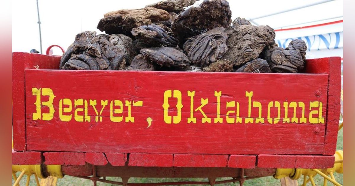 Cow Chip Throwing Capital - Beaver, Oklahoma Cow Chip Throwing Capital - Beaver, Oklahoma