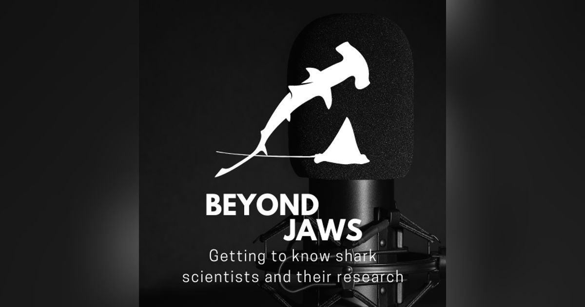 23: Focused on a career of projects with a conservation application result with Jill Brroks