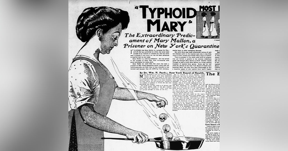 Typhoid Mary Typhoid Mary