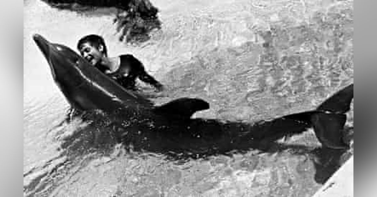 Margaret Lovatt Margaret Lovatt