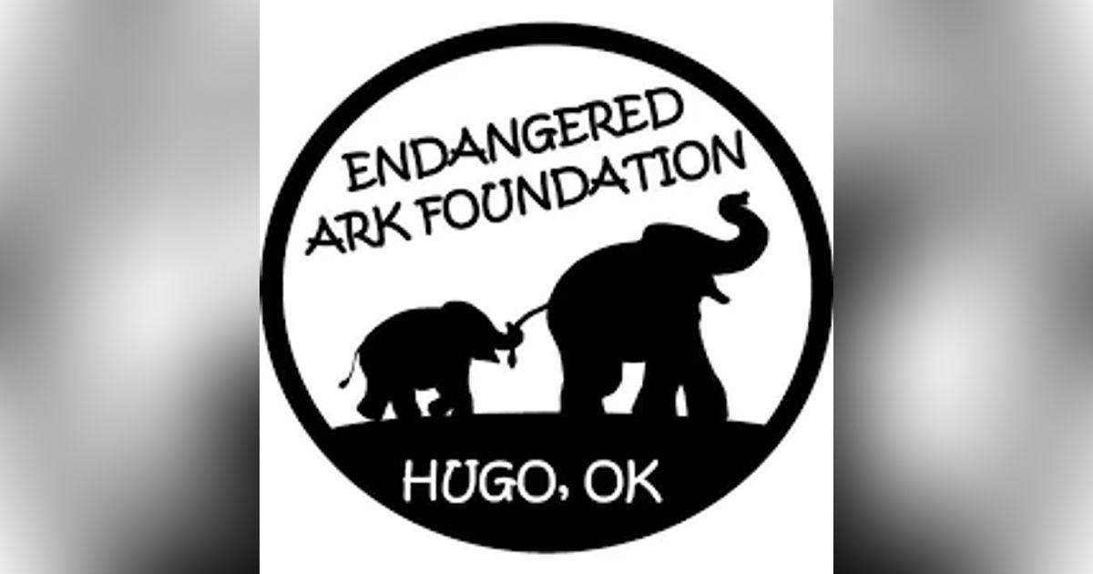 Holiday Elephant Encounters Holiday Elephant Encounters