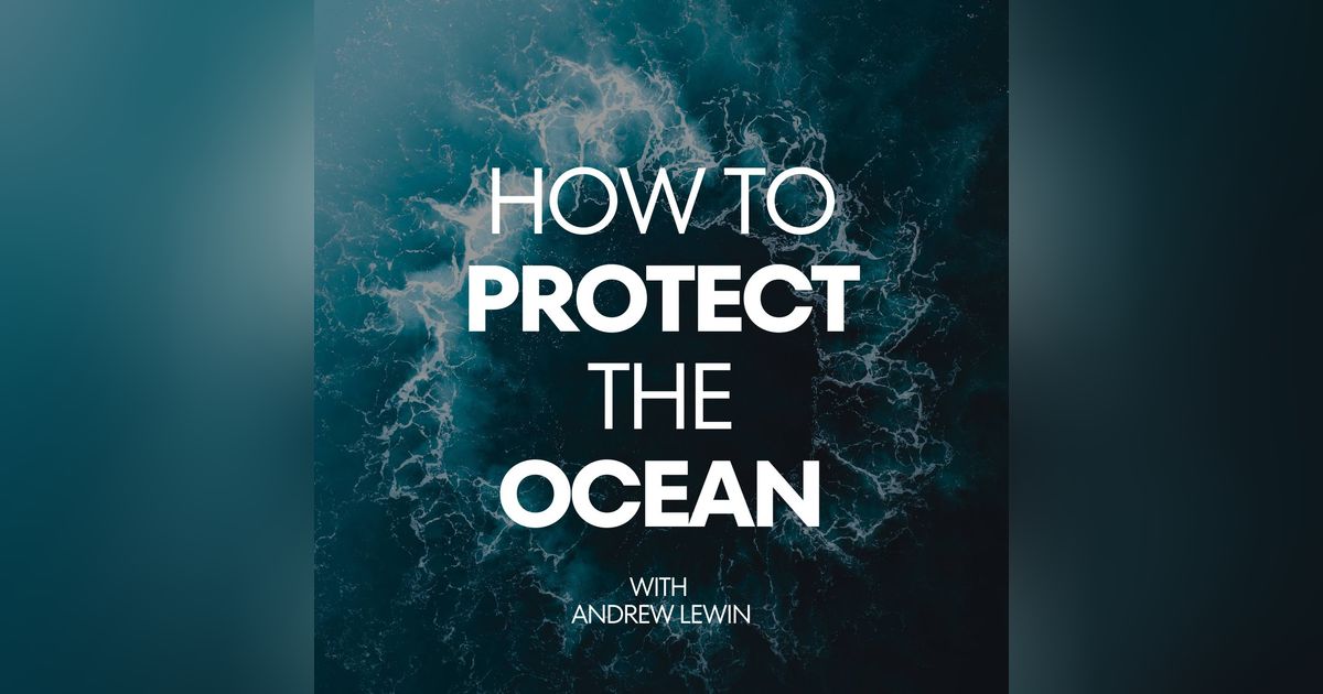 Atlantic Fish Stocks at Risk? Politics Pushes Industrial Fishing Expansion Atlantic Fish Stocks at Risk? Politics Pushes Industrial Fishing Expansion