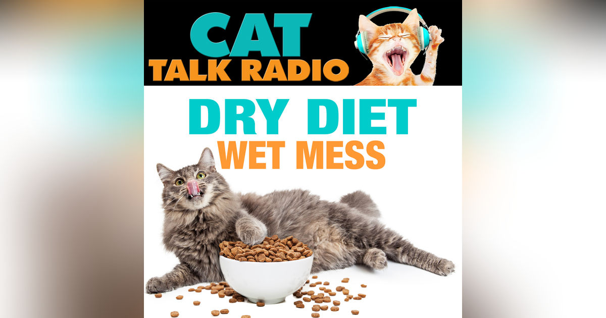 Dry Diet, Wet Mess: The Double Danger Lurking in Your Cat's Bowl Dry Diet, Wet Mess: The Double Danger Lurking in Your Cat's Bowl