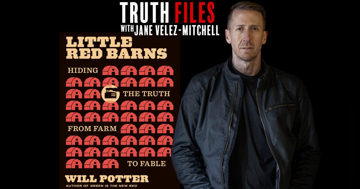 Little Red Bans -  This could be the decade's most important book.