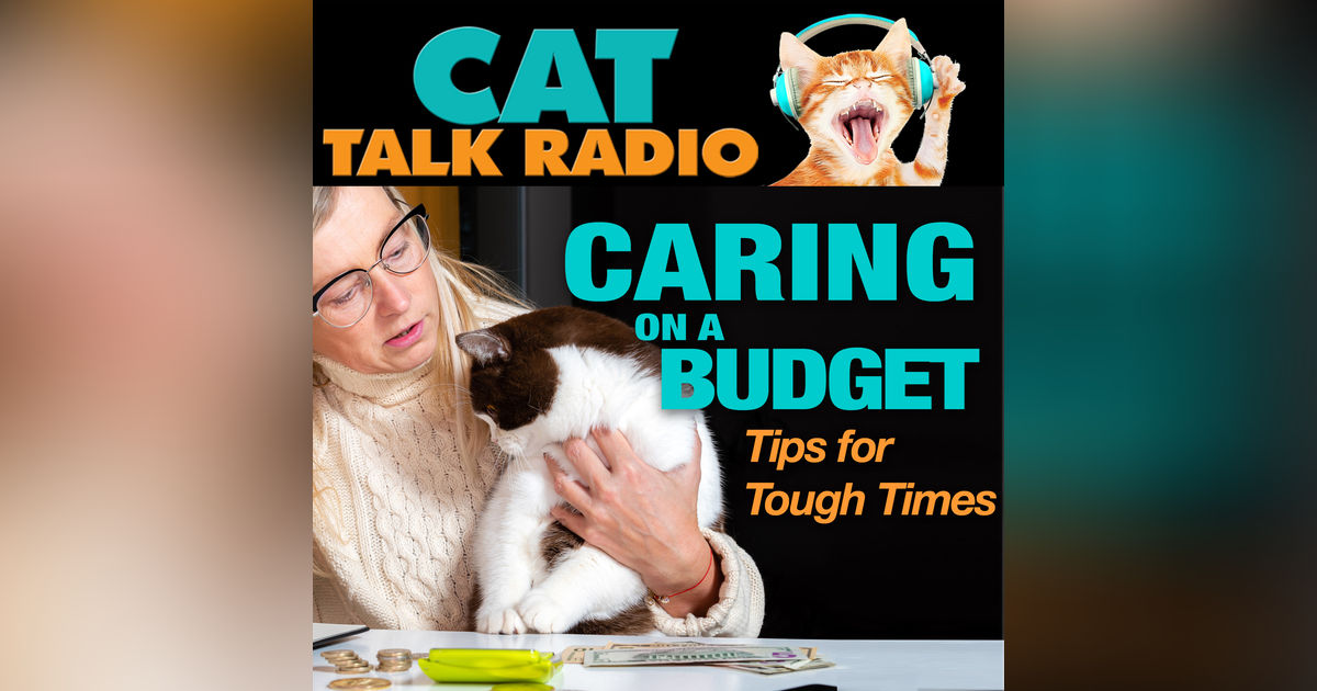 Caring for Cats on a Budget