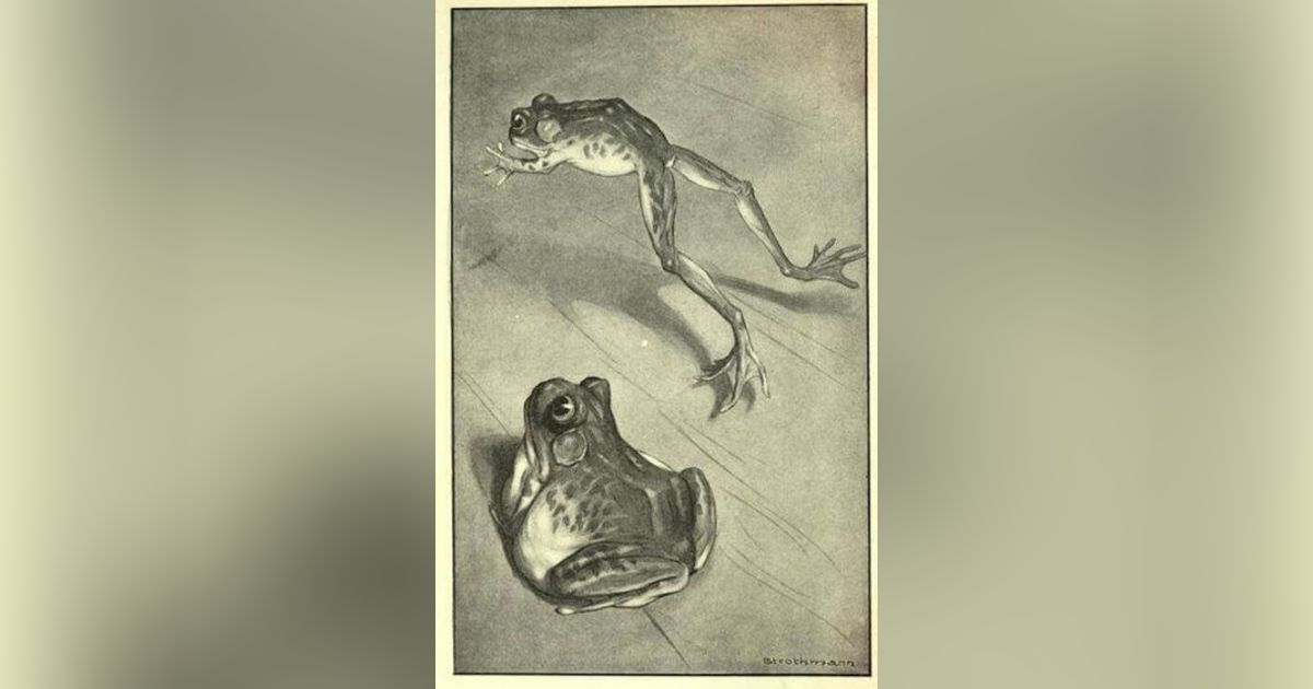 THE CELEBRATED JUMPING FROG OF CALAVERAS COUNTY by MARK TWAIN