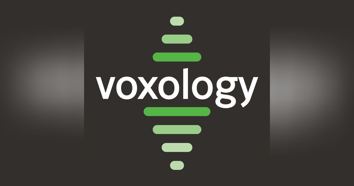 212.5 VOX Mini - What is the Best Way to Reconcile the OT and the NT?