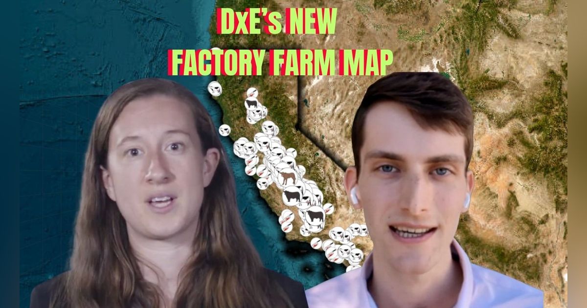America's Hidden Factory Farms EXPOSED