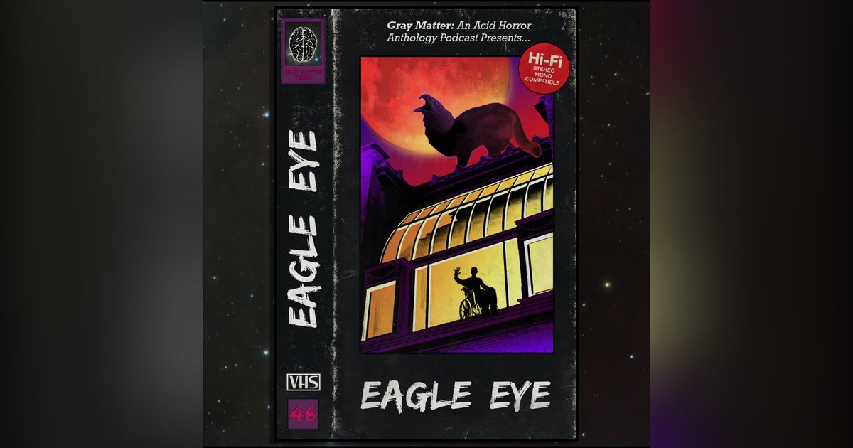 46 - Eagle Eye 46 - Eagle Eye