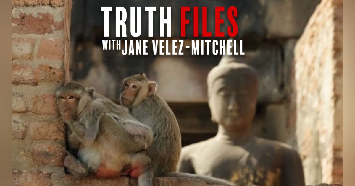 Buddhist Temples Challenged to Go Vegan — Truth Files with Jane Velez-Mitchell