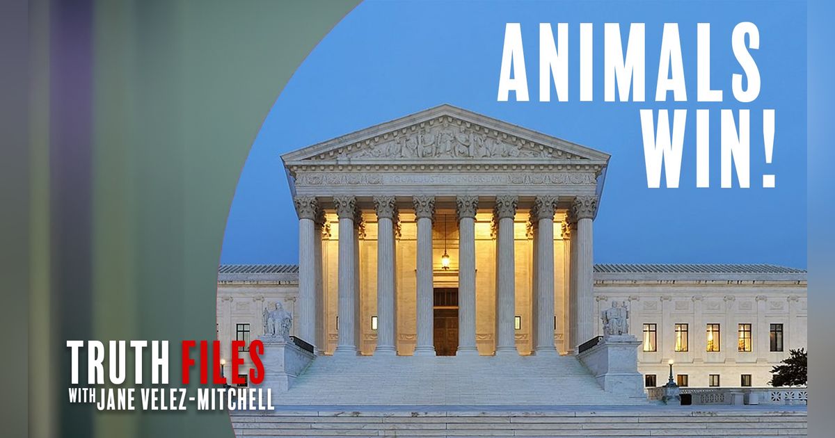 UnchainedTV's Truth Files: 5 Landmark Wins for Animal Rights You Need to Know