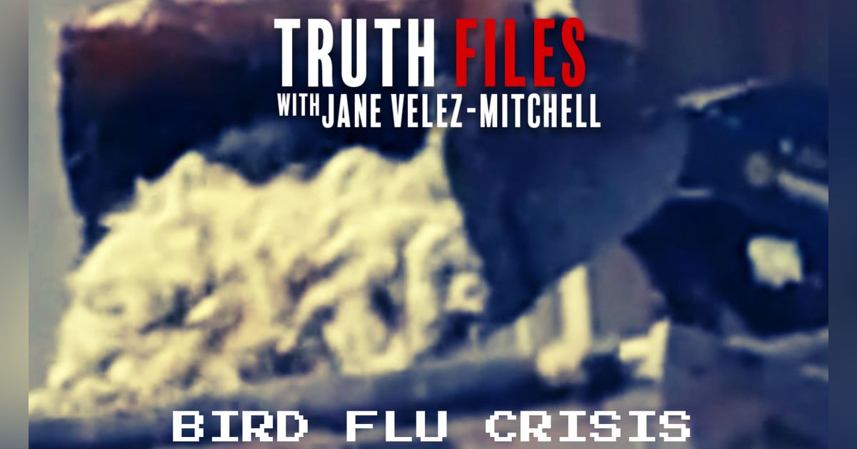 The Truth Files w Jane Velez-Mitchell: How Bird Flu Has Shut Down A Massive Egg Operation! The Truth Files w Jane Velez-Mitchell: How Bird Flu Has Shut Down A Massive Egg Operation!