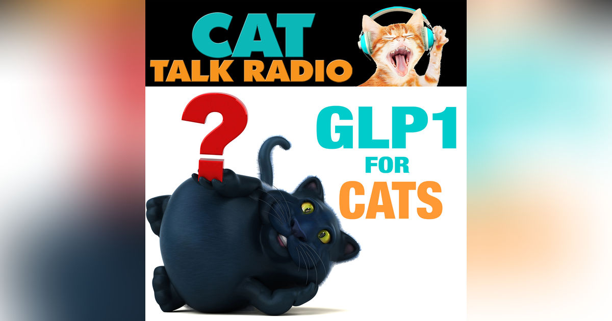 Ozempurrs for Cats? The Truth About GLP-1 Drugs and Feline Weight Loss