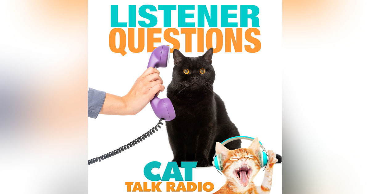 Listener Questions Listener Questions