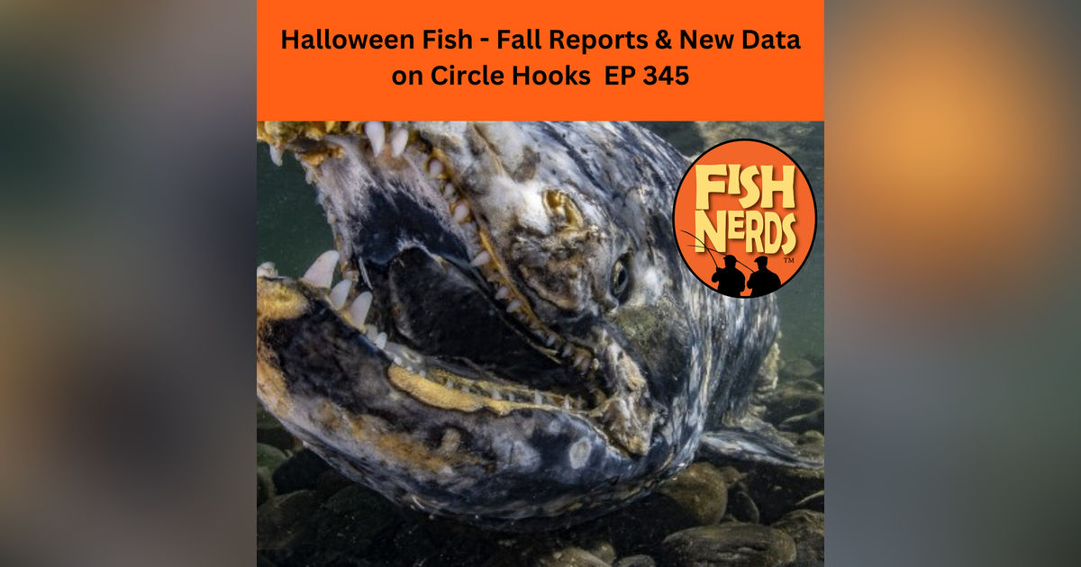 Halloween Fish - Fall Reports & New Data on Circle Hooks EP 345 Halloween Fish - Fall Reports & New Data on Circle Hooks EP 345