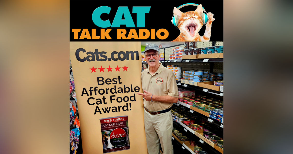 Feeding Cats Right: Affordable Nutrition Without Compromise - A Conversation with Dave Ratner