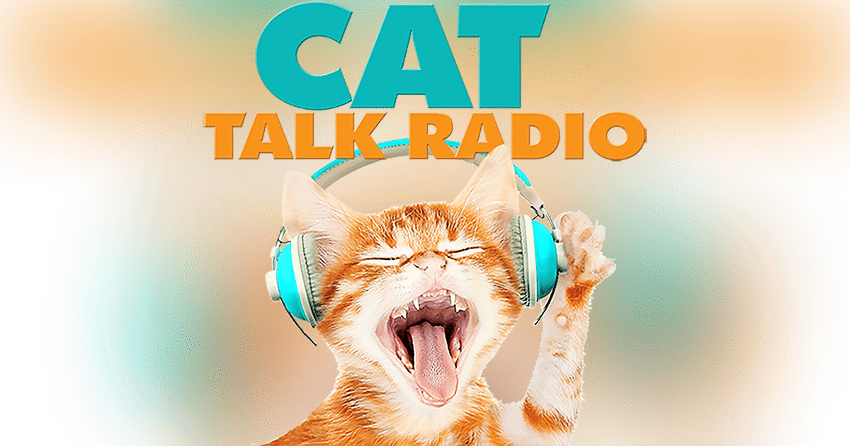 Listener Call In Questions Listener Call In Questions