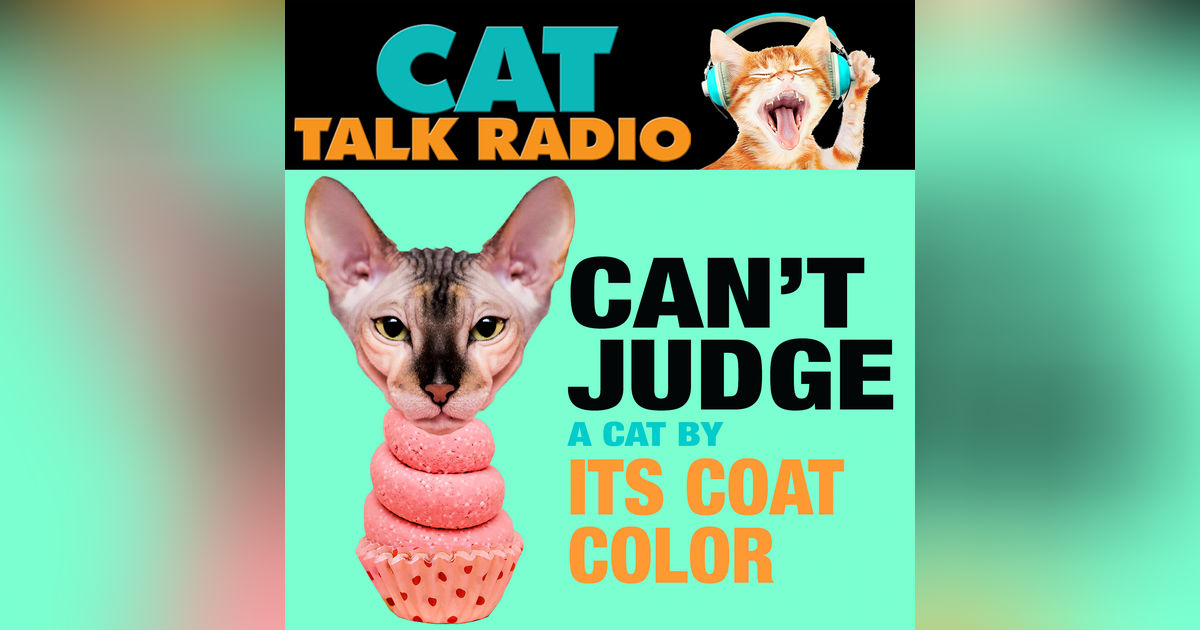 You Can't Judge a Cat By Its Color…or Can You? You Can't Judge a Cat By Its Color…or Can You?