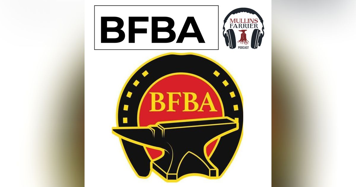 BFBA Focus Convention and the International at Stoneleigh BFBA Focus Convention and the International at Stoneleigh