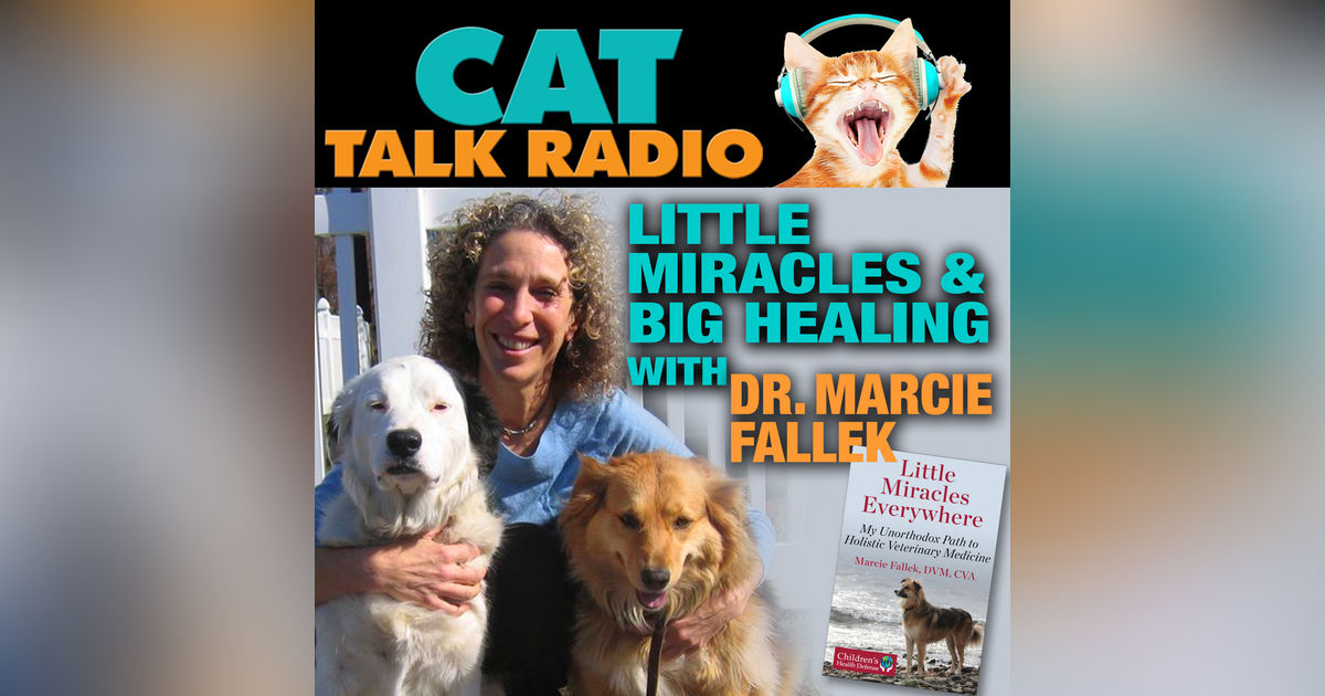 Little Miracles & Big Healing: A Conversation with Dr. Marcie Fallek Little Miracles & Big Healing: A Conversation with Dr. Marcie Fallek
