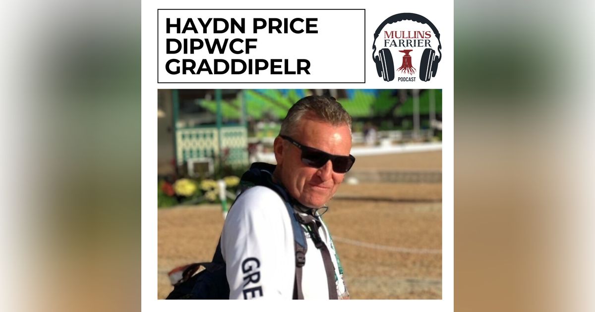 Haydn Price DipWCF GradDipELR Haydn Price DipWCF GradDipELR