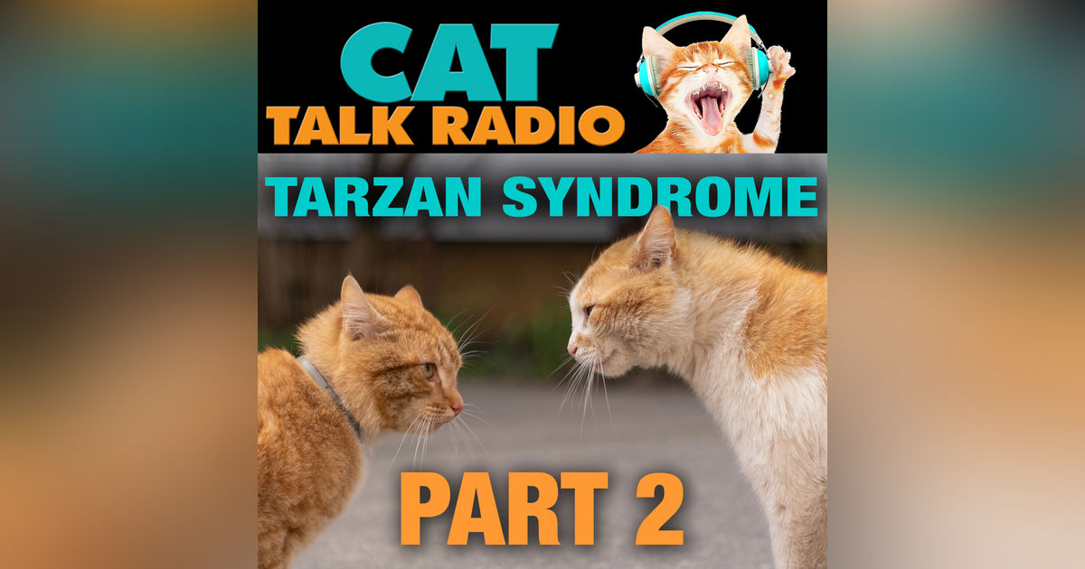 Tarzan Syndrome: Part 2 — Social Rehab That Works