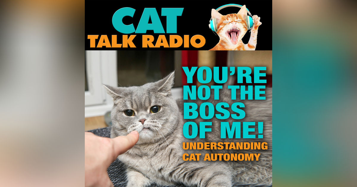 You’re Not the Boss of Me: Understanding Cat Autonomy You’re Not the Boss of Me: Understanding Cat Autonomy