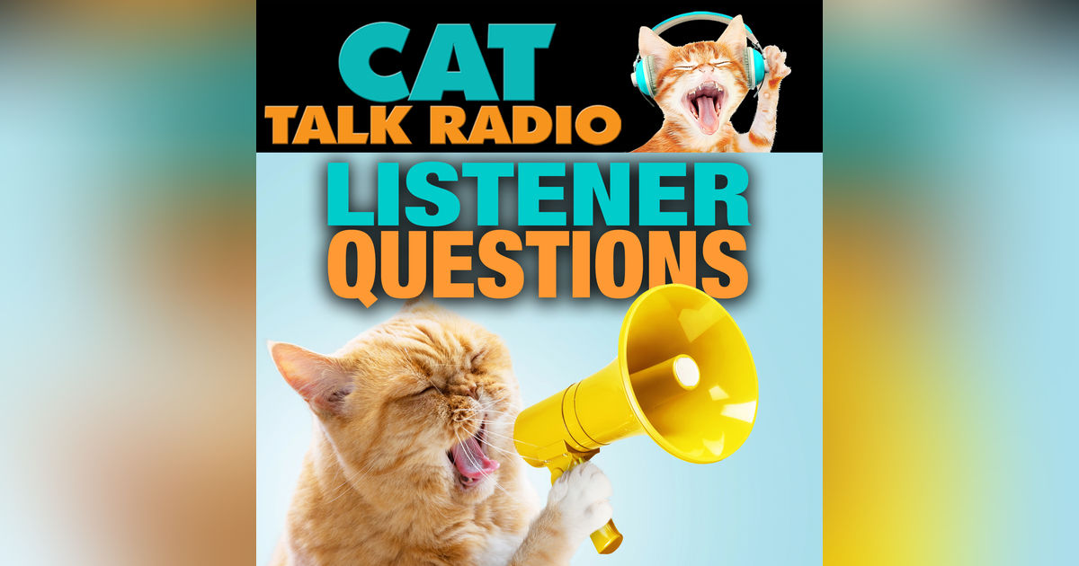 Listener Questions: Curious Cat Questions from Around the World Listener Questions: Curious Cat Questions from Around the World