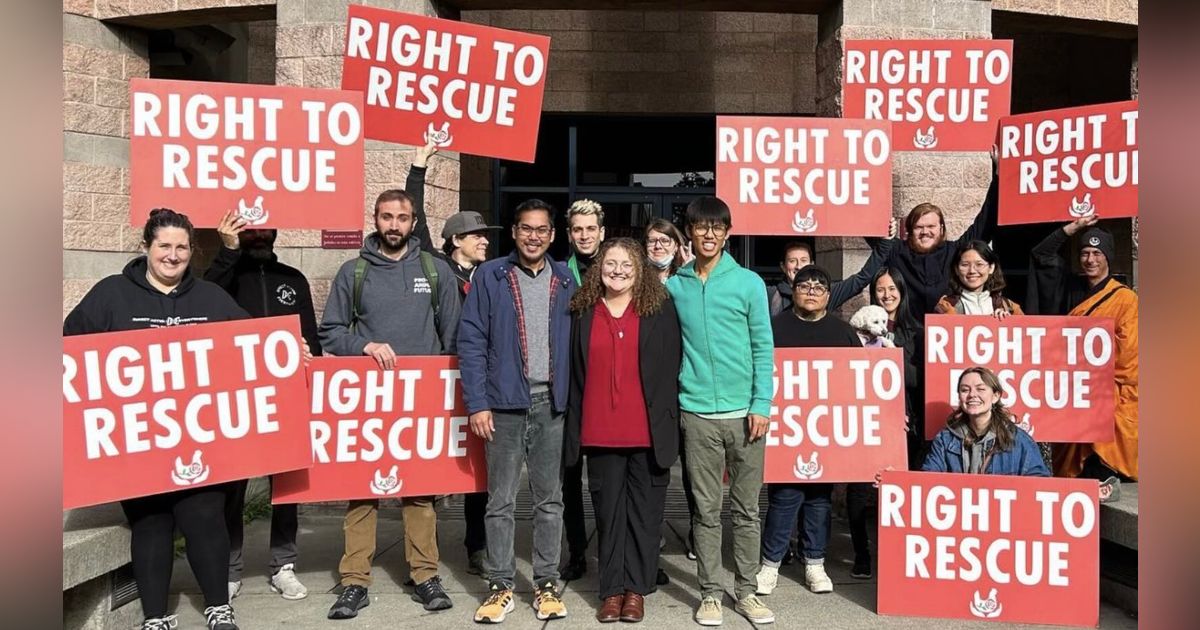 Why They're Prosecuting a Woman for Rescuing 4 Chickens