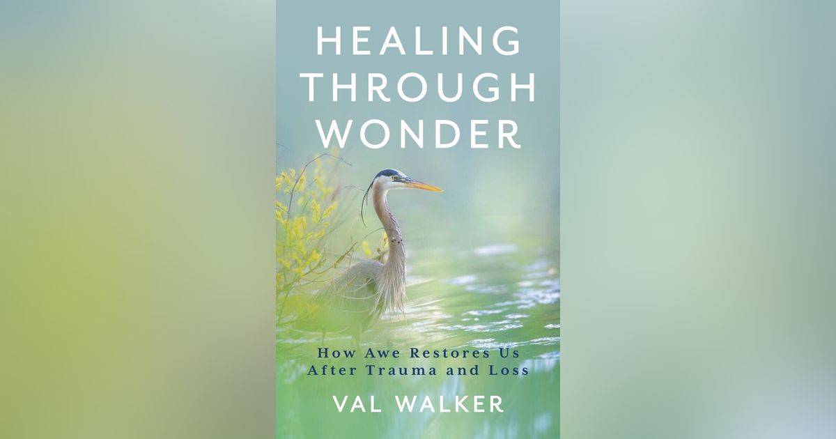 Val Walker - Healing Through Wonder