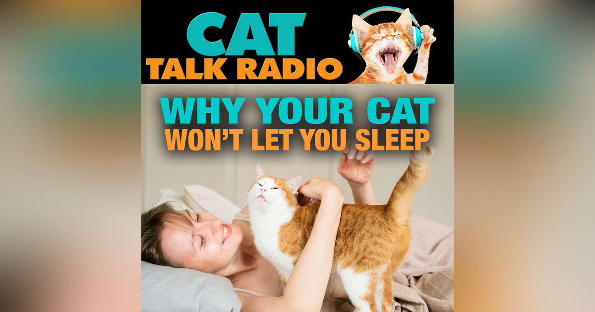 Why Your Cat Wakes You Up at Night (and How to Stop It)