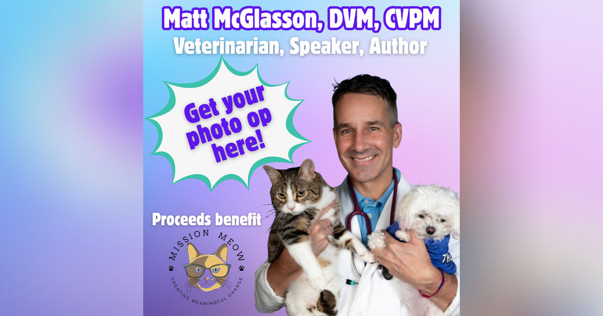 What Dr. Matt Wants Every Cat Lover (and Non-Cat Person) to Know! 🐾 | PurrCon Party Live