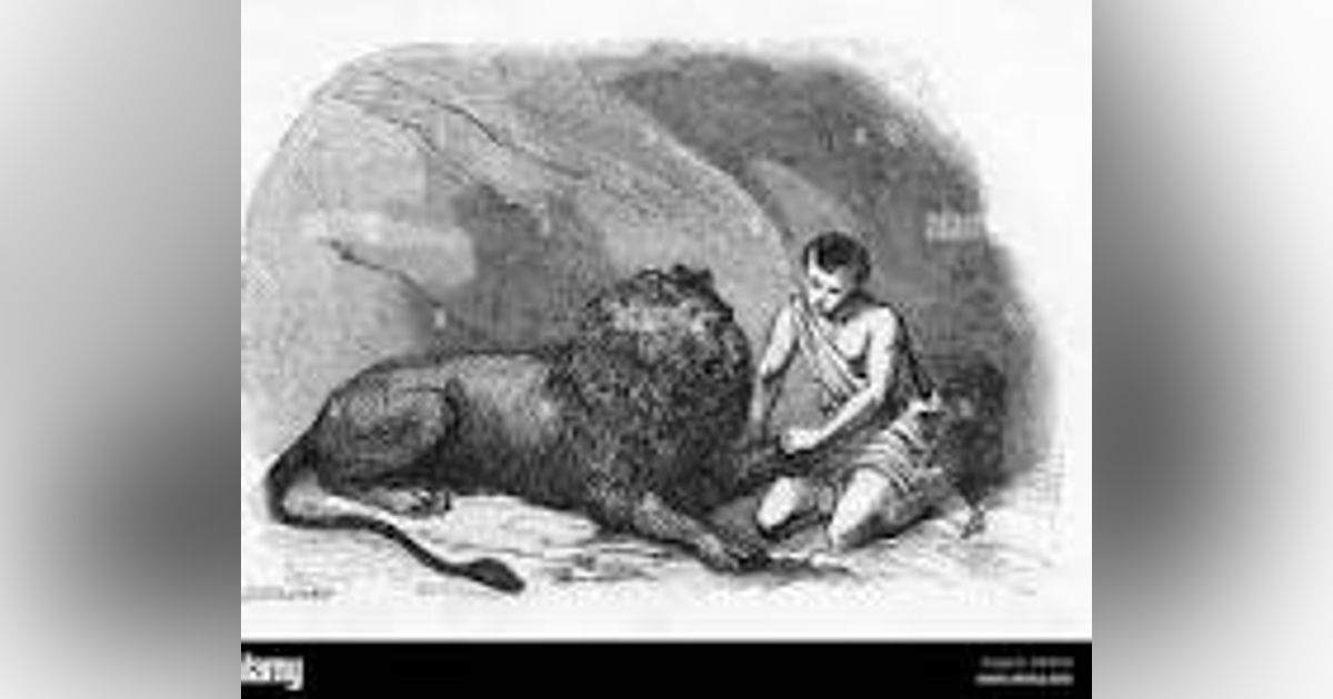 A TINY LITTLE THING and ANDROCLUS & THE LION   TALES FOR ALL AGES