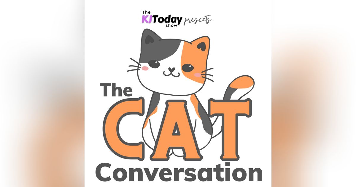 Community Cats and Collaboration: The Heart of Indy Neighborhood Cats