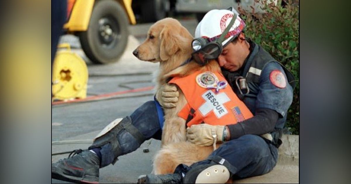 OUR CANINE HEROES (PT 2 OF 2)   A DOG'S JOB IS NEVER DONE