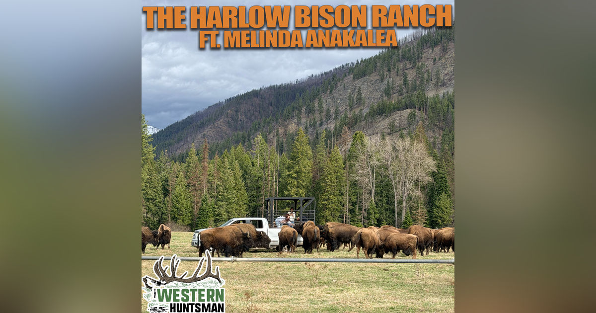 Ep. 256 | The Harlow Bison Ranch with Melinda Anakalea