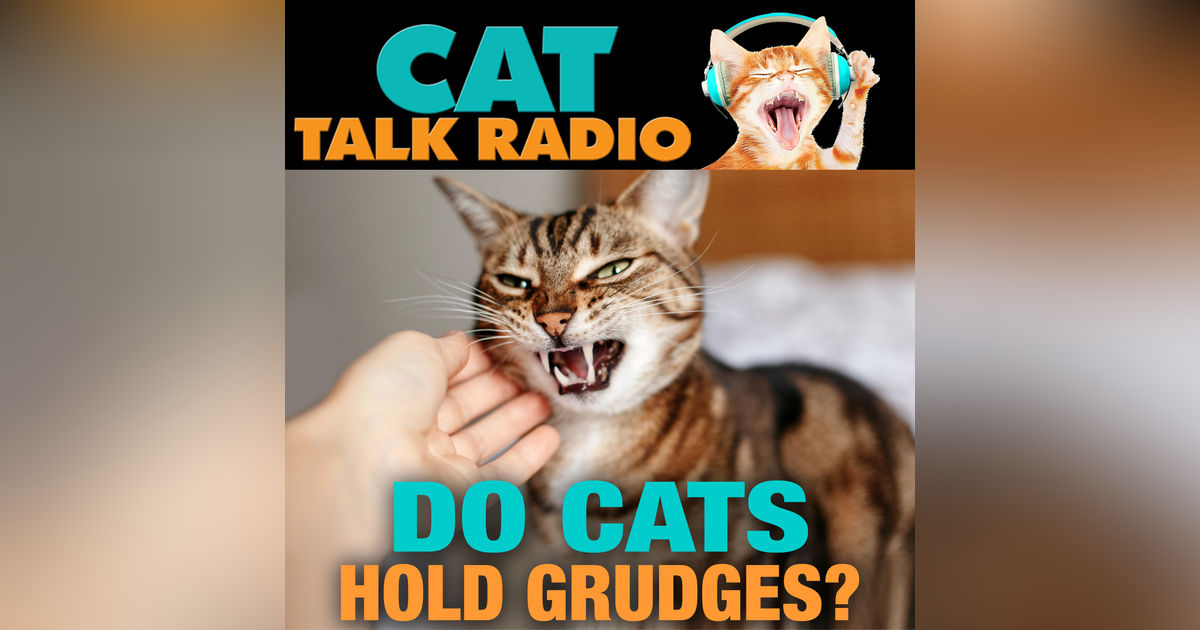 Do Cats Hold Grudges? Do Cats Hold Grudges?