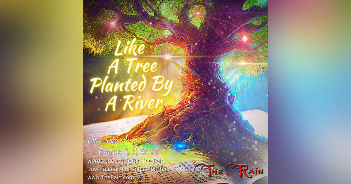 Like A Tree (Blessed Is The Man) - Live Solo
