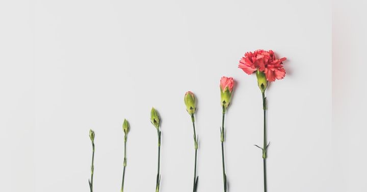 image for Understanding Growth on Both the Franchisee and Franchisor Side