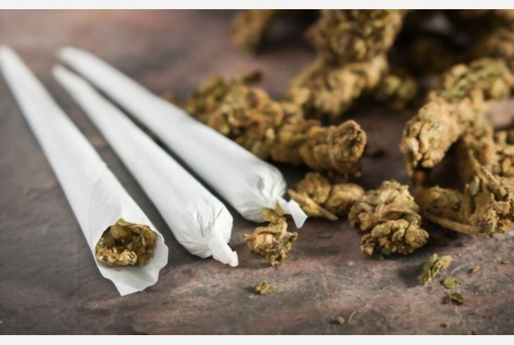Marijuana worth millions seized